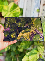 Smartphone pliable triple Mate XT Ultimate version globale 10,2'' Ki Rin 9010 EMUI 14.2 50MP 5600mAh pour les professionnels