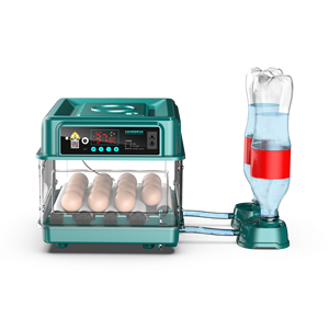 <span class=keywords><strong>15</strong></span> công suất trứng có thể điều chỉnh khay trứng tự động lồng ấp trứng cho trang trại gia cầm sử dụng - Product Image 2