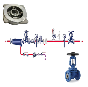 Régulateur Bule 25P/DP27 avec Endress Hauser pour système en acier au carbone, fonte, Spirax Sarco - Product Image 1