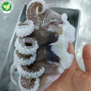 IQF Frozen Baby China Octopus