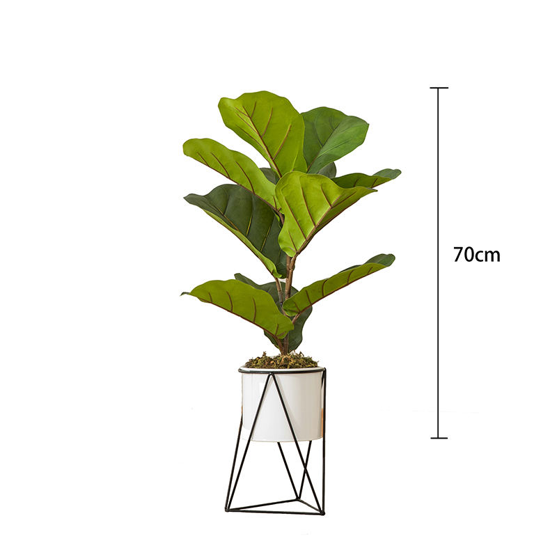 สีเทาเข้ม