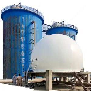 Gold Suppliers Biogas Purification Holder Equipment chicken manure biotech biogas treatment plant bioenergy
