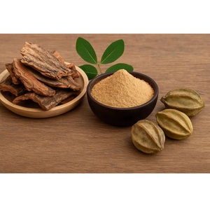 Poudre d'Arjun Chal de qualité supérieure pour compléments alimentaires, produits pour la santé cardiaque, remèdes ayurvédiques, disponible à prix d'exportation - Product Image 1