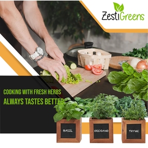 Kit de démarrage d'herbes uniques 2025, <span class=keywords><strong>basilic</strong></span>, origan, thym, pots <span class=keywords><strong>en</strong></span> bois écologiques, jardinage à domicile, ensemble suspendu au sol, fleur artificielle - Product Image 3