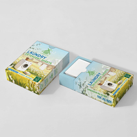 Feuilles de lessive jetables antibactériennes, naturelles, écologiques, à base de plantes, personnalisées ODM/OEM