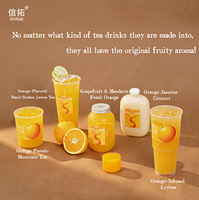 Gannan Navel Orange Jam 1.2kg Concentrated Juice Specially for Fresh Fruit Tea and Fruit Tea