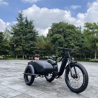 2023 Hot Selling Customized 3 Wheel Fat Tire Electric Bicycle with Sidecar for Adults