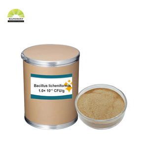 <span class=keywords><strong>Probióticos</strong></span> Bacillus Subtilis/Bacillus Licheniformis para Aves de Corral, 100 Mil Millones de UFC/g, Polvo Probiótico Animal, CAS 68038-66-4 - Product Image 4
