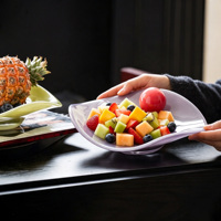 Plateau de service épais multi-usages pour fruits, plat de rangement domestique pour bonbons, collations, fruits secs, assiette décorative pour table basse