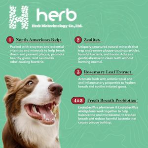 Probiótico en Polvo para Mascotas ODM/OEM, Suplemento para la Salud Digestiva de Perros y Gatos, Favorece la Salud Dental - Product Image 2