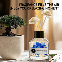 Diffuseur de parfum C06 pour voiture et maison, 100 ml, désodorisant avec 5%-15% d'ingrédients actifs pour salle de bain, cuisine, bureau