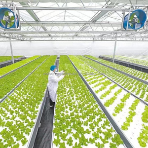 <strong>Etfe</strong> <strong>Greenhouse</strong> Film Using for High Quality Plastic <strong>Greenhouse</strong> - Product Image 1