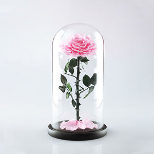 शानदार वैलेंटाइन्स दिवस उपहार संरक्षित फूल गिलास गुंबद मंत्रमुग्ध संरक्षित हमेशा के लिए गिलास गुंबद में गुलाब - Product Image 5