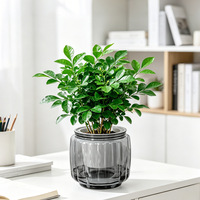 Pot Bunga Maxuan Gaya Nordik Kreatif, Anti Kering, Bahan PET, untuk Meja Dalam Ruangan/Balkon, Bentuk Labu, Grosir