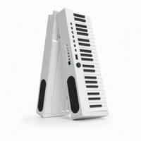Piano Plegable de 88 Teclas, OEM, ODM, Logotipo Personalizado, Marca Privada, Pedido de Muestra, Fábrica, I+D, Teclado Digital