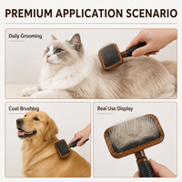 Brosse à poils pour animaux de compagnie en bois de hêtre pour chiens et chats, fournitures de toilettage pour animaux de compagnie sur mesure