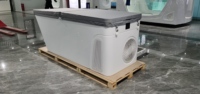 Sport Recovery Baignoire de bain de glace Wifi APP Control Acrylic Cold Plunge All in Ice Bathing Spa Baignoire avec refroidisse