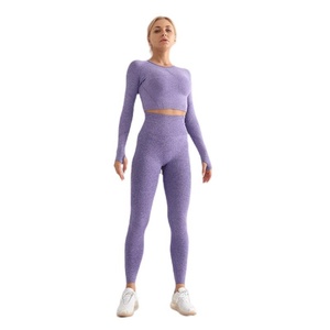Conjunto de 2 Piezas de Shorts de Yoga para Mujer, Tallas Grandes, Personalizado, Alta Elasticidad, Moldeador, Sexy, Sin Costuras, Transpirable, Tejido, Sin Mangas, Ligero - Product Image 5