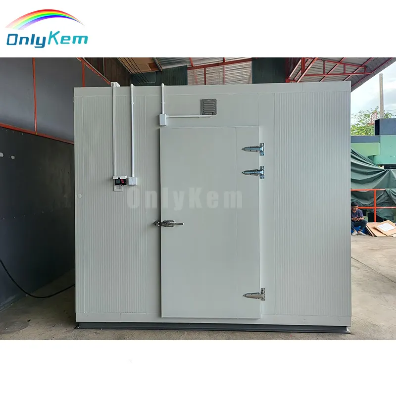 Endüstriyel Walk-in soğutma odası buzdolabı dondurucu soğuk depolama odası