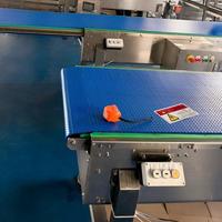 Hygiënische, duurzame, modulaire transportband van voedselveilige kwaliteit voor fruit- en groenteverwerkingslijnen