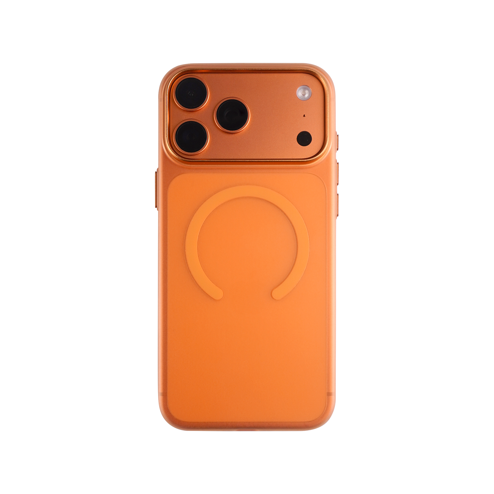 Orange givrée