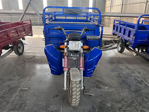 Kendaraan Tricycle Bermotor Kargo Terbuka Bersertifikat EEC/DOT Berkualitas Tinggi 250cc/150cc Tiga Roda Penumpang Berbahan Bakar Bensin - Product Image 6