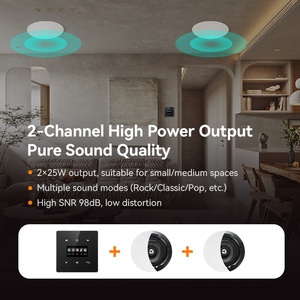 Solución de Audio con <span class=keywords><strong>Radio</strong></span> FM BT, Reproductor AUX, TF, USB y Amplificador, Ahorra Costos en Comparación con Comprar Dispositivos Separados, Host de Música Ambiental - Product Image 1