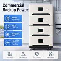 Module de batterie LiFePO4 empilable 51,2 V 314 Ah 16 kWh pour la sauvegarde d'alimentation en cas de panne de courant, idéal pour les bureaux et les commerces