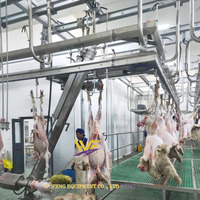 Línea de matanza de ovejas, máquina completa de matanza de cabras, sistema de riel de proceso de canal con plataforma de trabajo para matadero de ovejas
