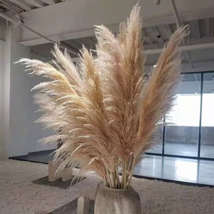 Bouquet de fleurs séchées nordiques, fleurs naturelles tendance pour la décoration intérieure, herbe de la pampa à grandes plumes, naturelle - Product Image 3