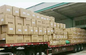 Nuovo Arrivo: Cuscino Lungo a Forma di Gatto con Stampa Leopardata, Morbido Peluche Imbottito, Giocattolo Carino per Bambini, Letto, Divano, Regalo di San Valentino - Product Image 6