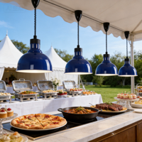 ORIX Edelstahl-Kuppel Umweltfreundliche 250W Lebensmittel-Wärmelampe Kommerzielle Infrarot-Hängelampe zur Speisenwärmung für Buffet und Restaurant