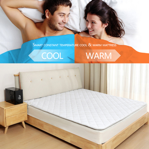 Tám ngủ thiết kế mới đơn và đôi kiểm soát thông minh nệm với cơ thể phục hồi làm mát và chức năng sưởi ấm - Product Image 2