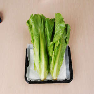 Almohadilla Absorbente para Carne Aprobada por la FDA con SAP en su Interior - Product Image 1