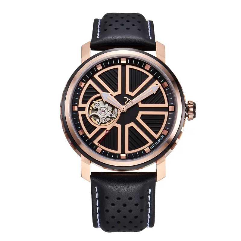 Elegance Gold Mens Mechanical Watch Original Genuine Leather Band Water Resist Auto Date Elderly Business Watch
