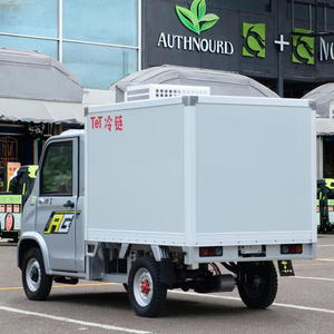 Nuevo Vehículo Eléctrico de Energía Renovable, Mini Camioneta Refrigeradora Eléctrica + Vehículo Eléctrico de 2 Plazas y 4 Ruedas - Product Image 4
