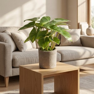 Piante Artificiali Realistiche in Vaso da 30cm, Monstera, Alocasia, Caladium, Vegetazione Simulata con Vaso per Decorazione Casa, Ufficio, Scrivania - Product Image 5