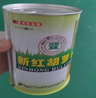 Boîtes de conserve en métal pour l'emballage de graines de pastèque ovales noires Boîtes vides Boîtes rondes vides pour graines de légumes