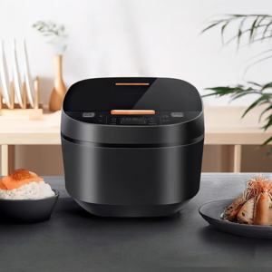 Cuiseurs à riz Autocuiseur Appareils de marque chinoise Électrique Mini Lent Multi Smart 10 Litres Pièces de multicuiseur à faible teneur en sucre - Product Image 2