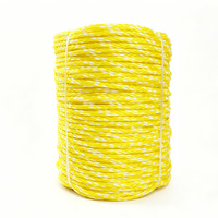 Corde tressée creuse en PP/PE, diamètre 3/8 pouce, disponible en longueurs de 30, 50 et 100 pieds, fabriquée au Shandong