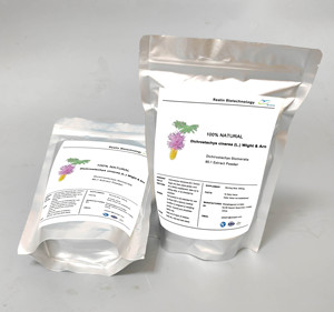 Natuurlijke Immuniteit En Spijsvertering Ondersteuning Moringa Bladpoeder 10:1 Moringa Bladextract - Product Image 4