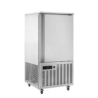 Équipement de Congélation Rapide Commercial Cloud Kitchen à Contrôle Numérique, 10 ou 16 Plateaux, Haute Vitesse, Certifié CE, Type Chambre Froide