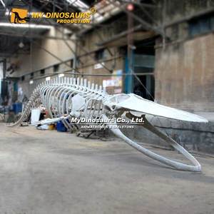 Mijn Dino <span class=keywords><strong>Aquarium</strong></span> Decor Levensgrote Blauwe Walvis Skelet Te Koop - Product Image 4