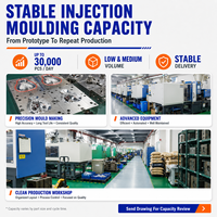 Layanan Cetakan Injeksi Plastik Kustom ISO9001 untuk Rumah Elektronik dengan Toleransi Presisi 0,02mm Kelas 103 Mold-OEM