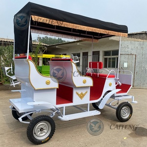 Calèche royale de Noël en plein air, calèche de princesse moderne pour le tourisme, vélo à 4 roues, calèche de poney princesse Victoria - Product Image 4
