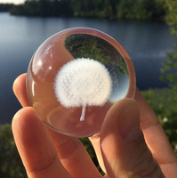 Laser Gravé Pissenlit Verre Cristal Sphère Boule MH-Q0194