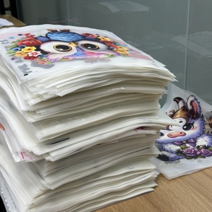 לוגו מותאם אישית חולצת טריקו מדבקה פלסטיזול dtf מוכן לחץ חום העברת הדפסה המדבקות אביזרים dtf מדבקות העברת מדבקות - Product Image 2