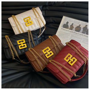 Sac à main de luxe pour femme 2024, sac à bandoulière matelassé à chaîne simple en cuir PU, sac de créateur pour femme, printemps automne - Product Image 2