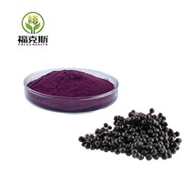 Poudre de fruits d'églantier de qualité alimentaire, extrait végétal naturel, matière première soluble dans l'eau pour les boissons et la transformation alimentaire