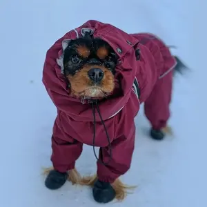 Qiquペットショップオンライン製品アパレル服衣類冬の暖かいコートジャケットスパニエル防水膜犬用全身スーツ